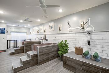 Dog grooming salon with wash bays and dryers